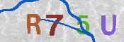 キャプチャ画像