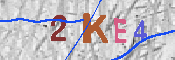 キャプチャ画像