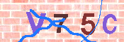 キャプチャ画像