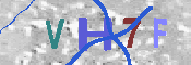 キャプチャ画像