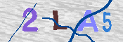 キャプチャ画像