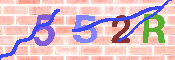 キャプチャ画像