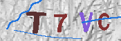 キャプチャ画像