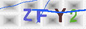 キャプチャ画像