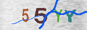 キャプチャ画像