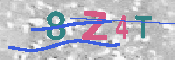 キャプチャ画像