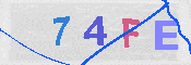 キャプチャ画像