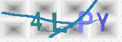 キャプチャ画像