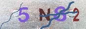 キャプチャ画像
