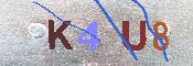 キャプチャ画像