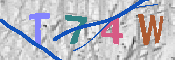 キャプチャ画像