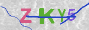 キャプチャ画像