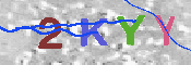 キャプチャ画像