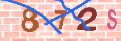 キャプチャ画像