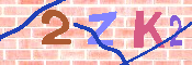キャプチャ画像
