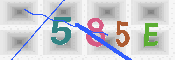 キャプチャ画像