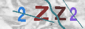 キャプチャ画像