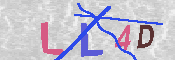 キャプチャ画像