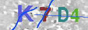 キャプチャ画像