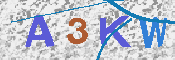 キャプチャ画像