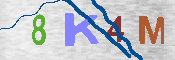 キャプチャ画像