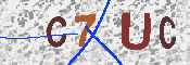 キャプチャ画像