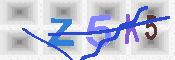 キャプチャ画像