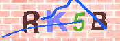 キャプチャ画像