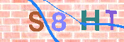 キャプチャ画像