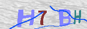 キャプチャ画像