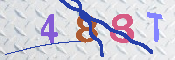 キャプチャ画像