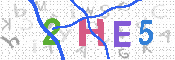 キャプチャ画像