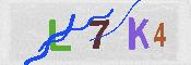 キャプチャ画像