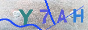 キャプチャ画像