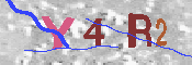 キャプチャ画像