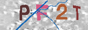 キャプチャ画像