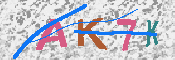 キャプチャ画像