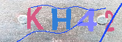 キャプチャ画像