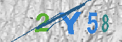 キャプチャ画像