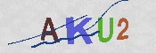 キャプチャ画像