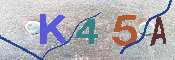 キャプチャ画像