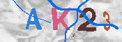 キャプチャ画像