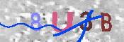キャプチャ画像
