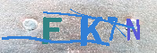 キャプチャ画像