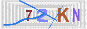 キャプチャ画像