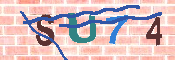 キャプチャ画像