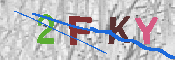 キャプチャ画像