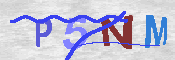 キャプチャ画像