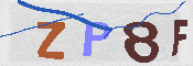 キャプチャ画像