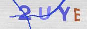 キャプチャ画像